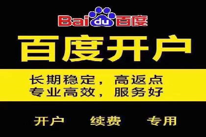 行业报告：专业SEM托管的成功实践与挑战