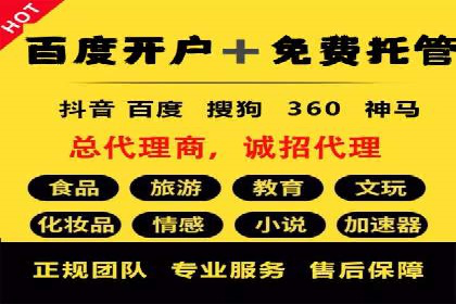 竞价托管SEM案例分析：提升品牌曝光度